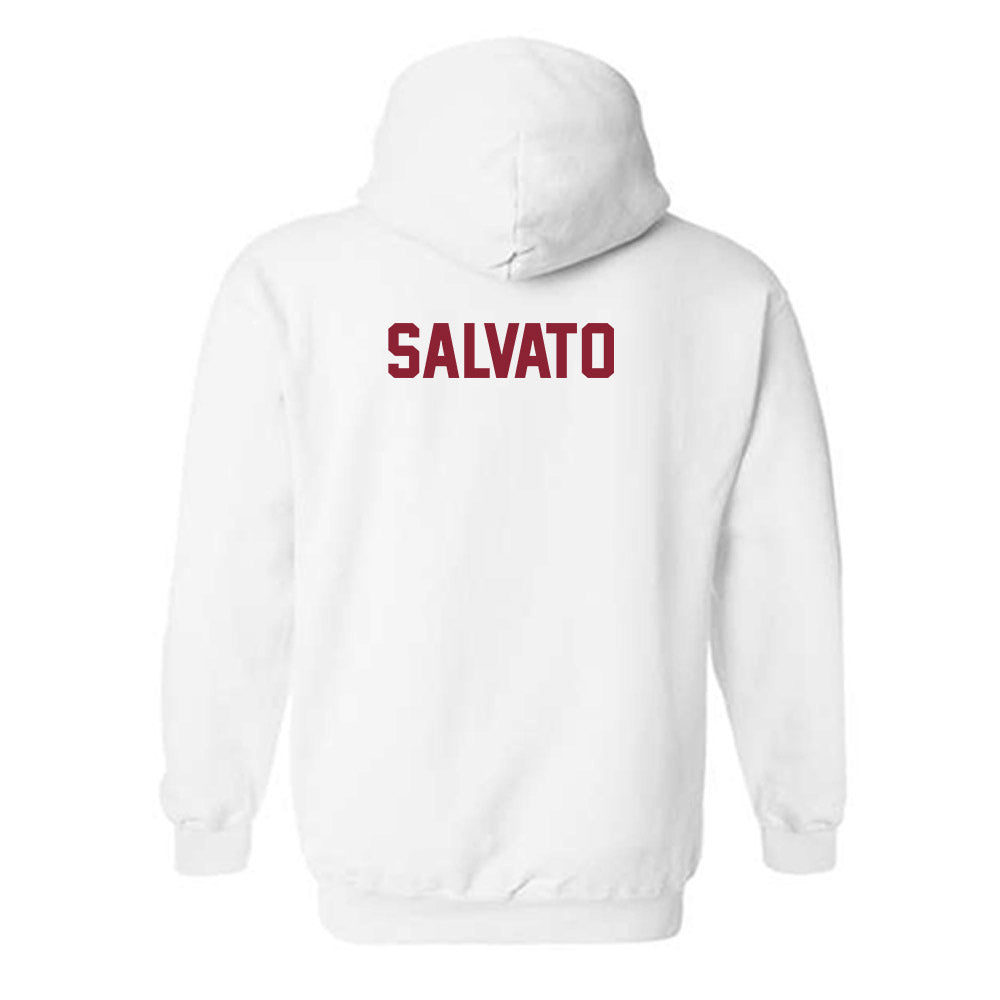 Iowa State - NCAA Women's Swimming & Diving : Sofia Salvato - Classic Shersey Hooded Sweatshirt-1