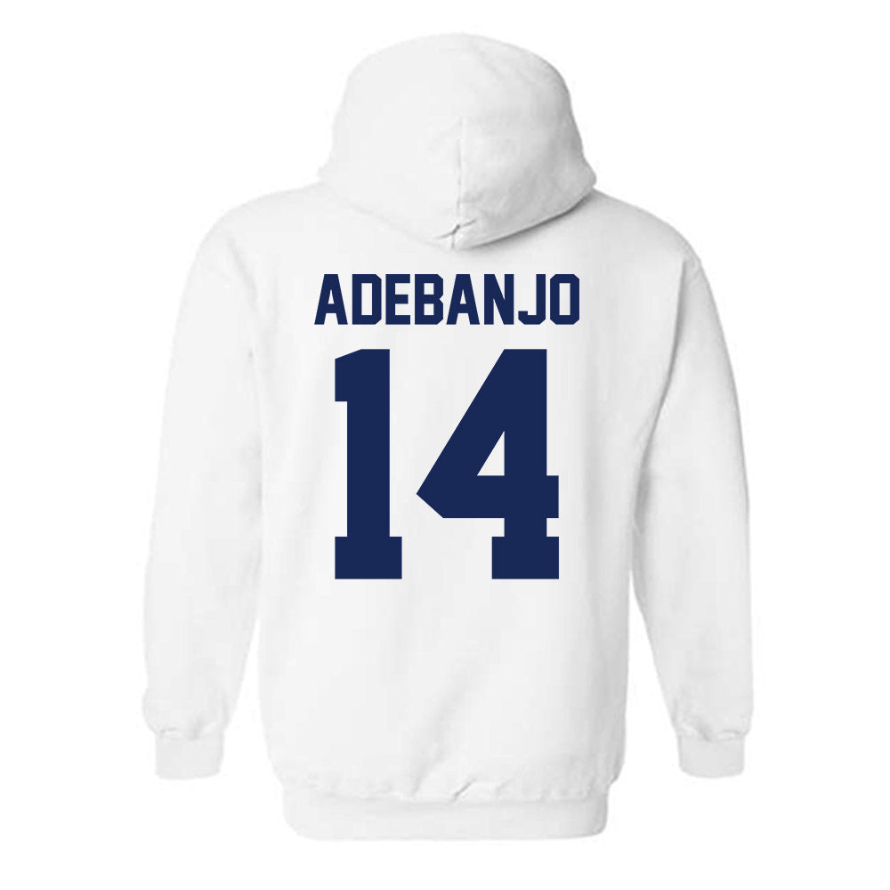 Arizona - NCAA Women's Basketball : Blessing Adebanjo - Sports Shersey Hooded Sweatshirt-1