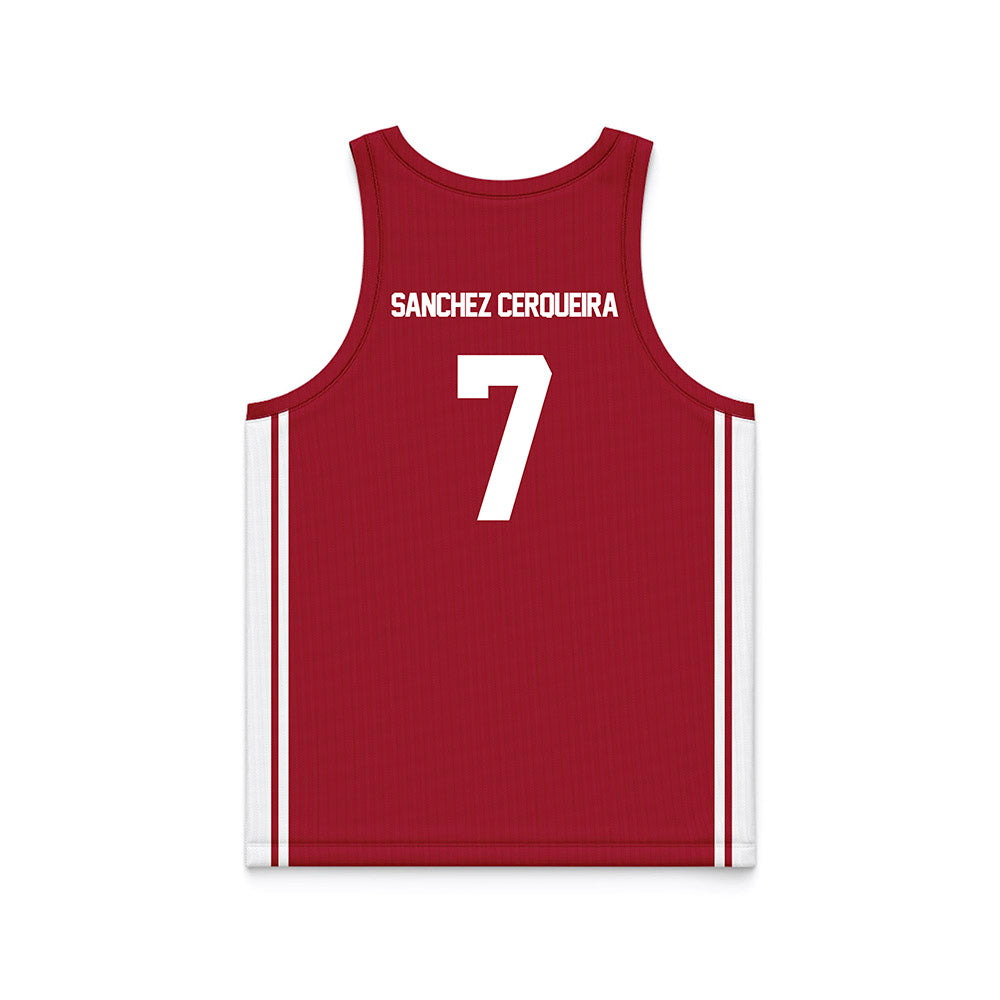 Arkansas - NCAA Women's Basketball : Cristina Sanchez Cerqueira - Red Basketball Jersey-1
