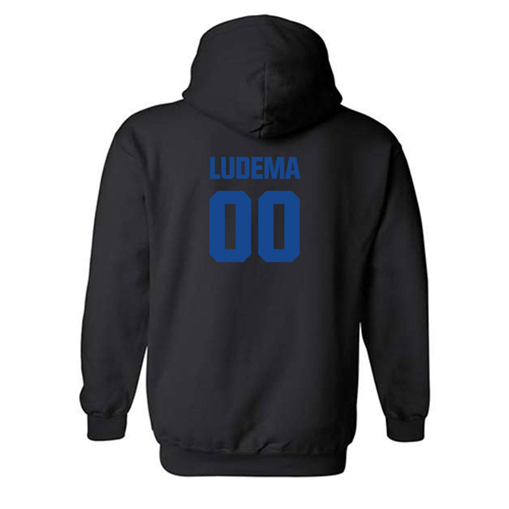 Grand Valley - NCAA Softball : Madi Ludema - Sports Shersey Hooded Sweatshirt-1