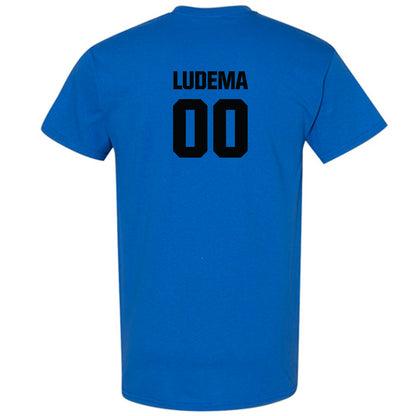 Grand Valley - NCAA Softball : Madi Ludema - Sports Shersey T-Shirt-1