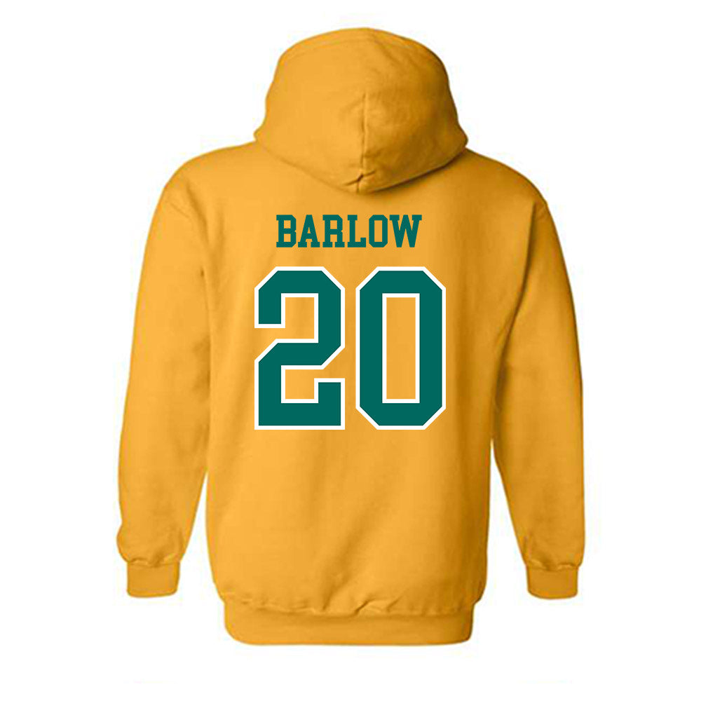 UNC Wilmington - NCAA Softball : Taylor Barlow - Sports Shersey Hooded Sweatshirt-1