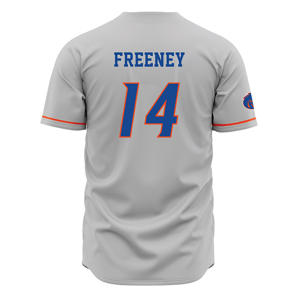 Boise State - NCAA Football : Demetrius Freeney - Grey Jersey-1