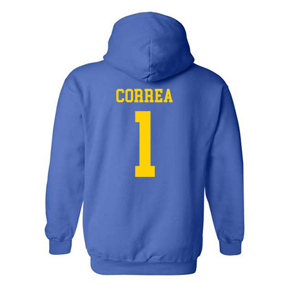 Delaware - NCAA Women's Basketball : Kailah Correa - Fashion Shersey Hooded Sweatshirt-1