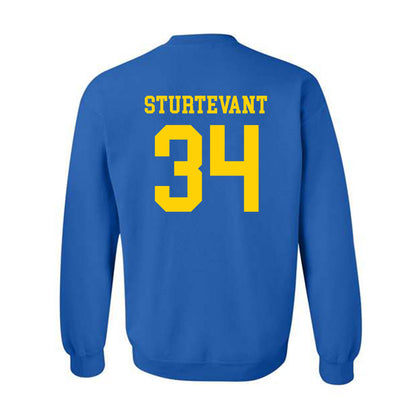 Delaware - NCAA Women's Lacrosse : Riley Sturtevant - Fashion Shersey Crewneck Sweatshirt-1