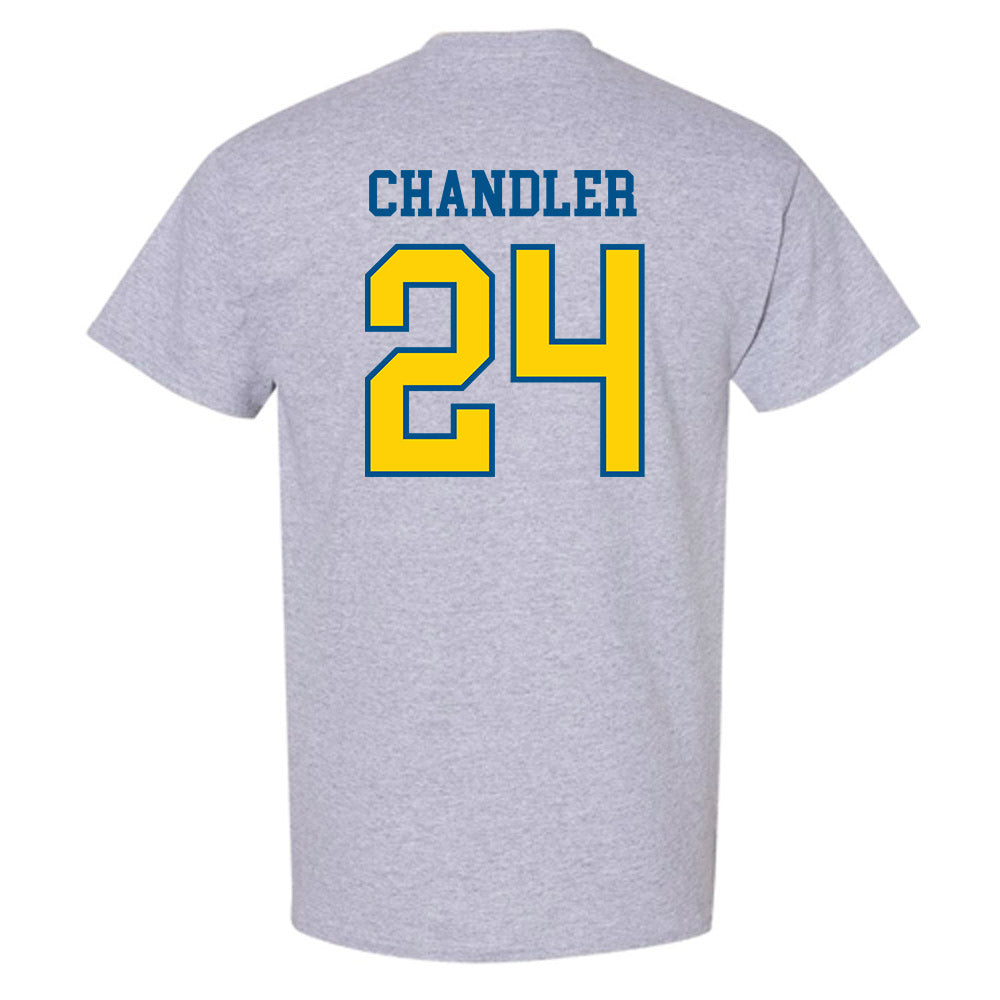 Delaware - NCAA Softball : Jamie Chandler - Sports Shersey T-Shirt-1
