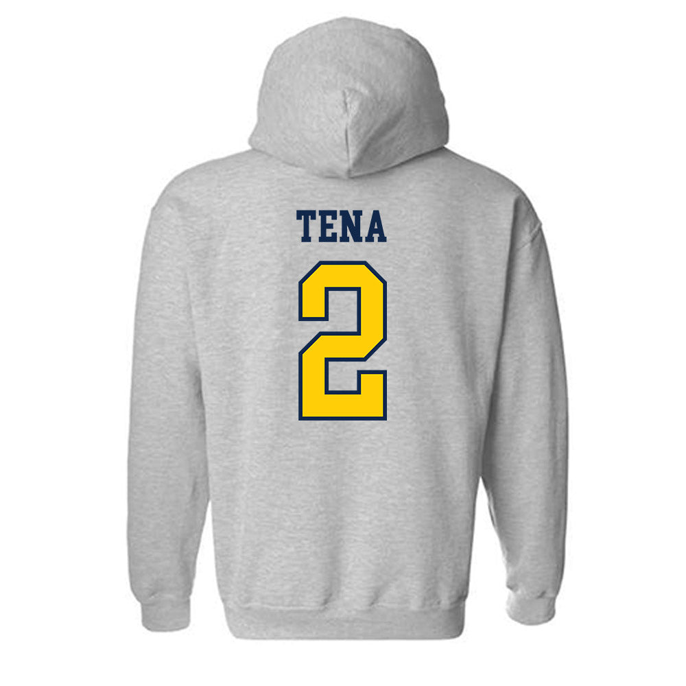 UCSD - NCAA Baseball : Jonathan Tena - Sports Shersey Hooded Sweatshirt-1