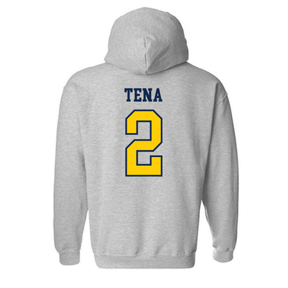UCSD - NCAA Baseball : Jonathan Tena - Sports Shersey Hooded Sweatshirt-1