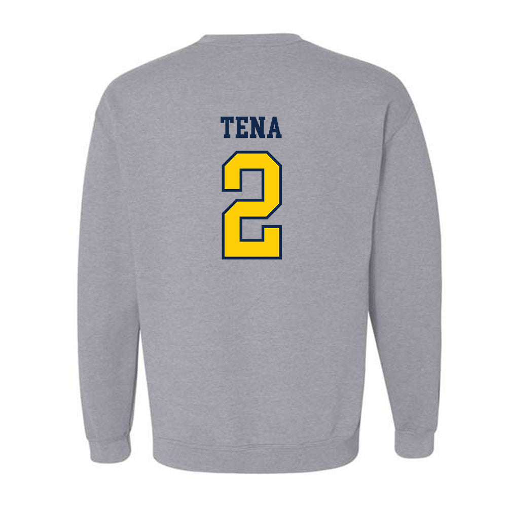 UCSD - NCAA Baseball : Jonathan Tena - Sports Shersey Crewneck Sweatshirt-1