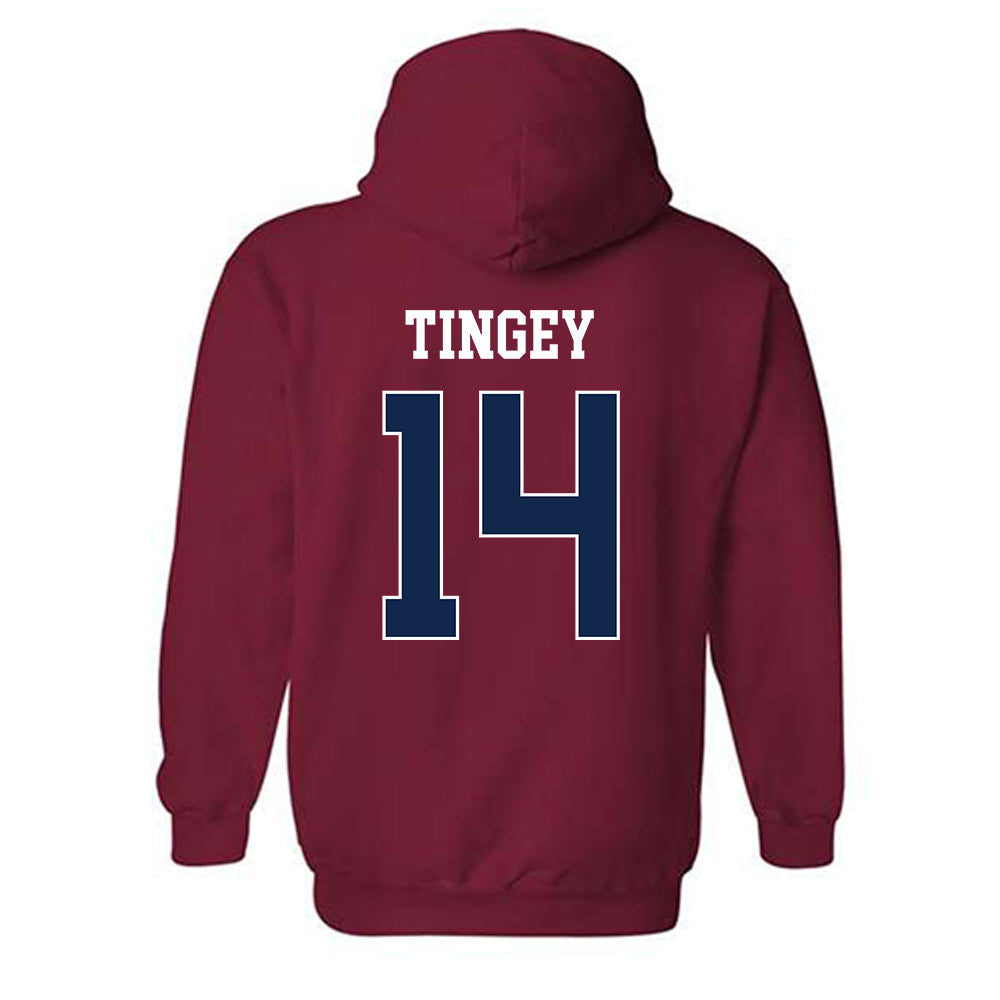 Fresno State - NCAA Softball : Ava Tingey - Classic Shersey Hooded Sweatshirt