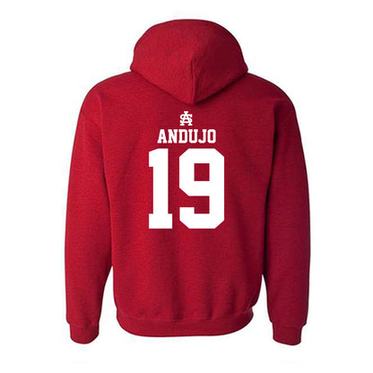 South Alabama - NCAA Softball : Frankie Andujo - Sports Shersey Hooded Sweatshirt-1