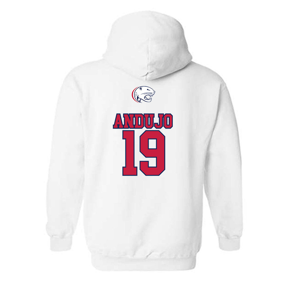 South Alabama - NCAA Softball : Frankie Andujo - Sports Shersey Hooded Sweatshirt-1