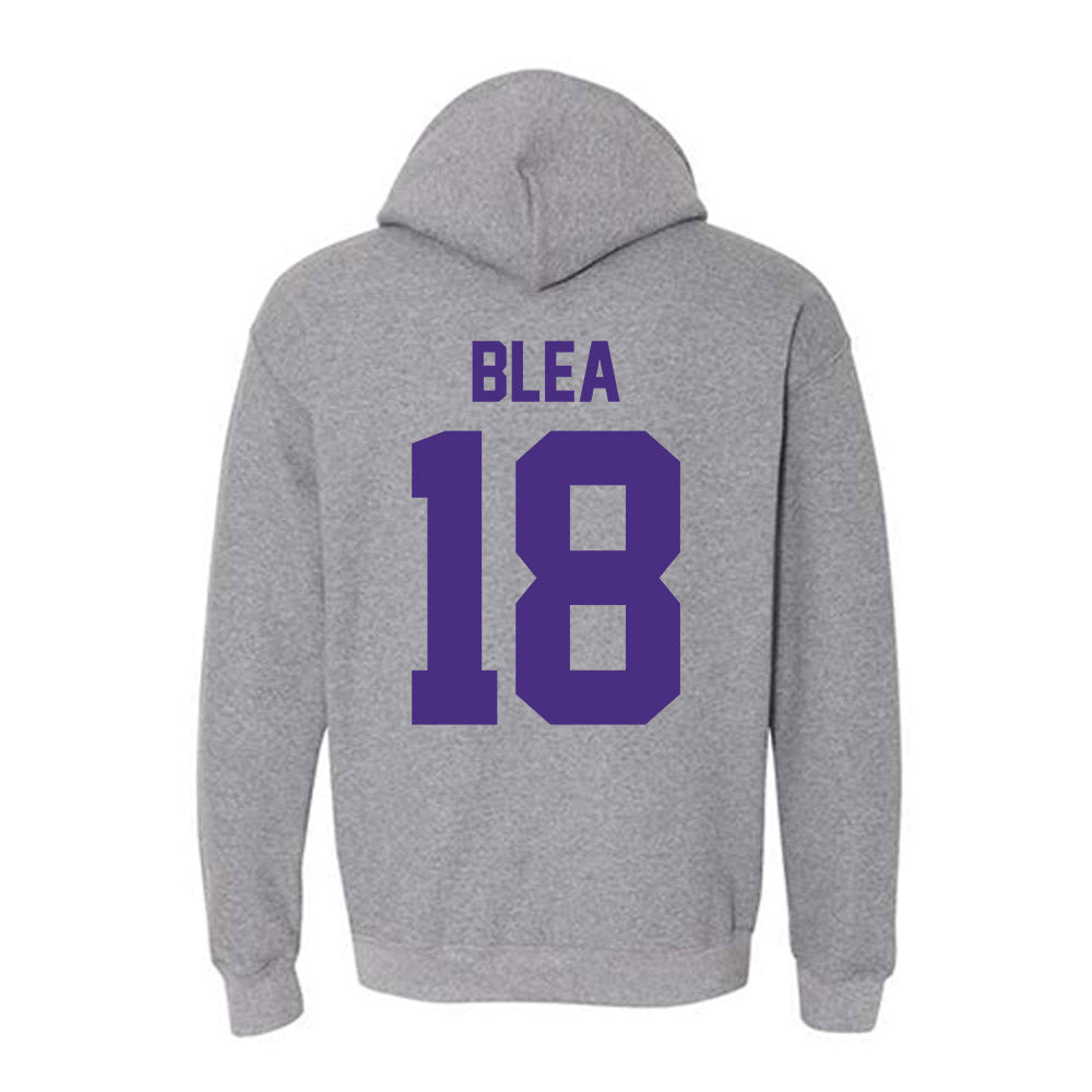 Northwestern - NCAA Softball : Emma Blea - Classic Shersey Hooded Sweatshirt-1