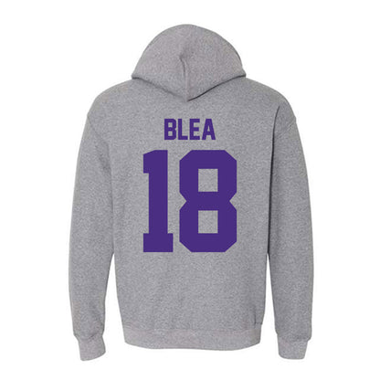Northwestern - NCAA Softball : Emma Blea - Sports Shersey Hooded Sweatshirt-1