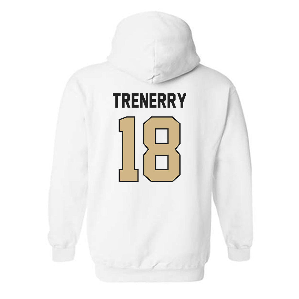 Purdue - NCAA Baseball : Joe Trenerry - Classic Shersey Hooded Sweatshirt-1