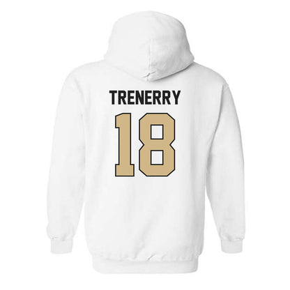 Purdue - NCAA Baseball : Joe Trenerry - Classic Shersey Hooded Sweatshirt-1