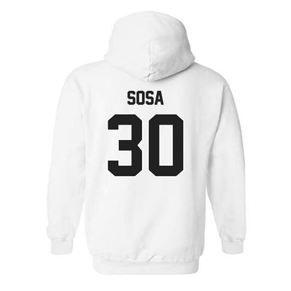 Purdue - NCAA Softball : Gabriela Sosa - Sports Shersey Hooded Sweatshirt-1