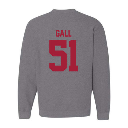 Stanford - NCAA Softball : Ava Gall - Sports Shersey Crewneck Sweatshirt-1