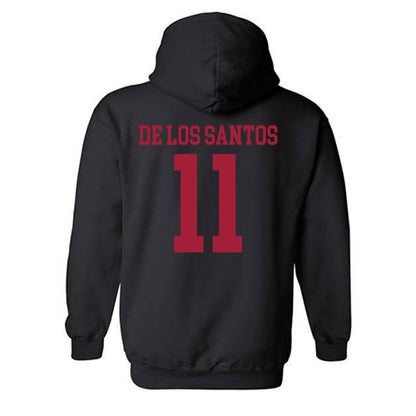 WSU - NCAA Women's Soccer : Ana De Los Santos - Classic Shersey Hooded Sweatshirt-1