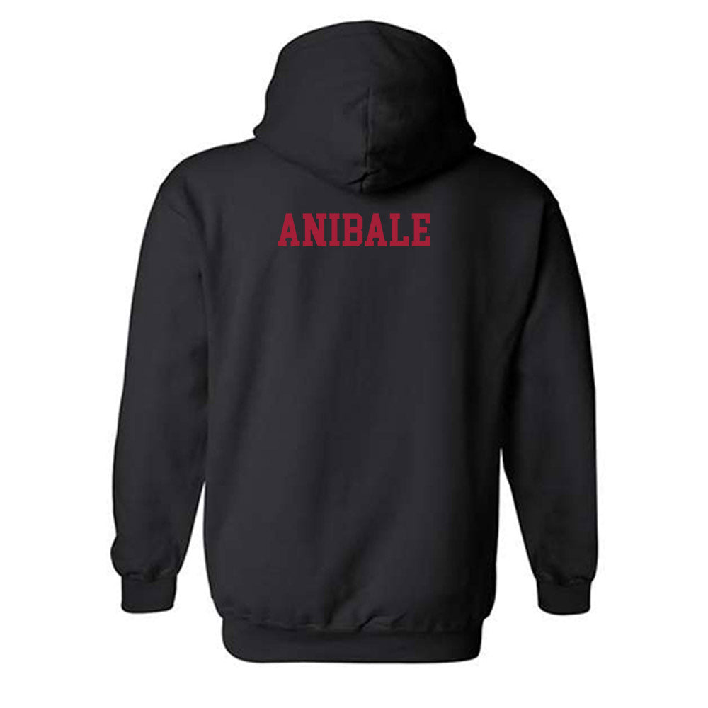 WSU - NCAA Women's Rowing : Mia Anibale - Classic Shersey Hooded Sweatshirt-1