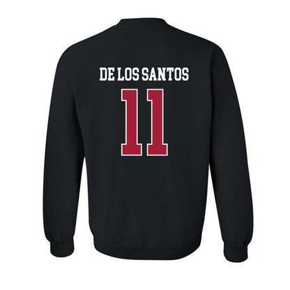 WSU - NCAA Women's Soccer : Ana De Los Santos - Classic Fashion Shersey Crewneck Sweatshirt-1