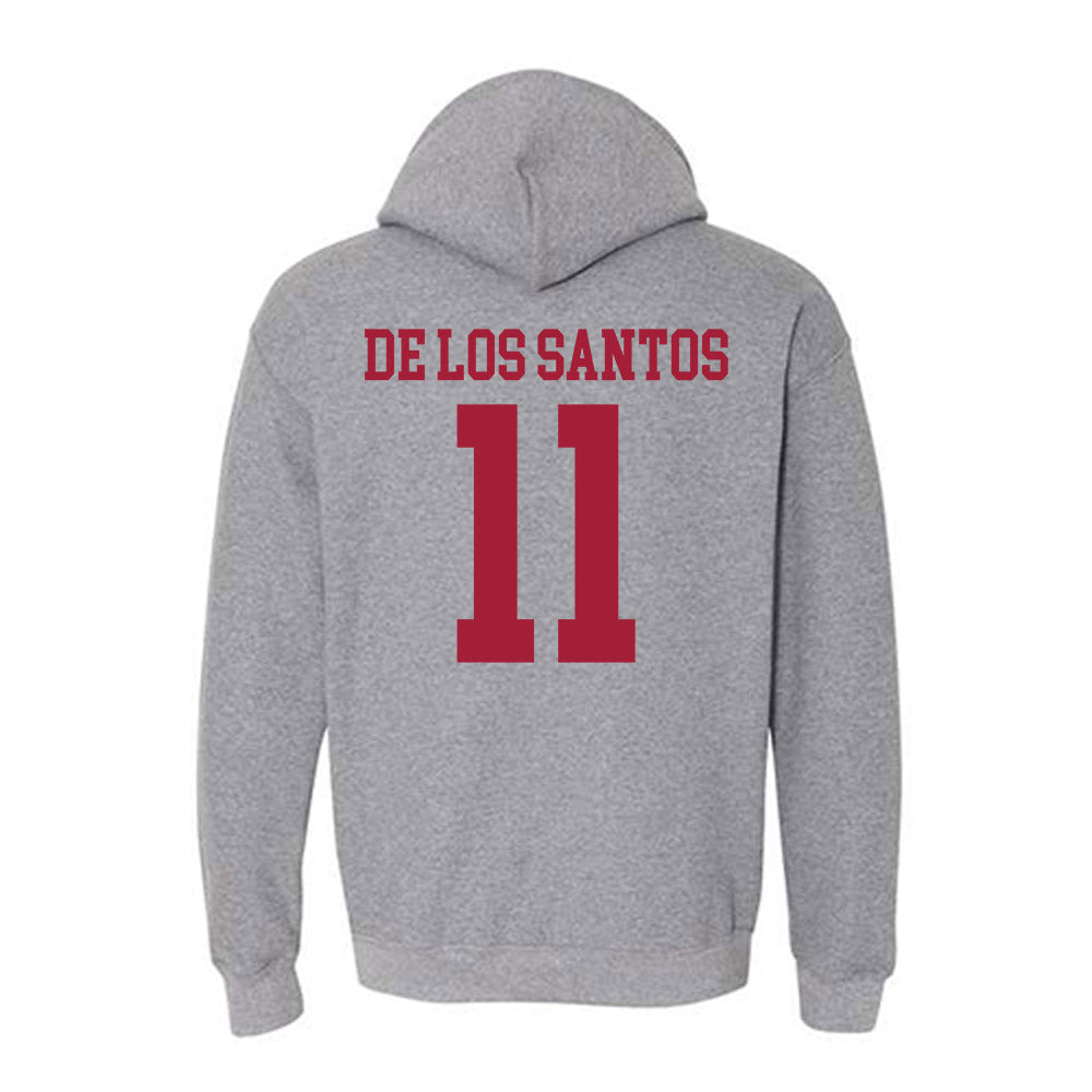 WSU - NCAA Women's Soccer : Ana De Los Santos - Classic Fashion Shersey Hooded Sweatshirt-1