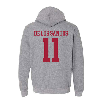 WSU - NCAA Women's Soccer : Ana De Los Santos - Classic Fashion Shersey Hooded Sweatshirt-1