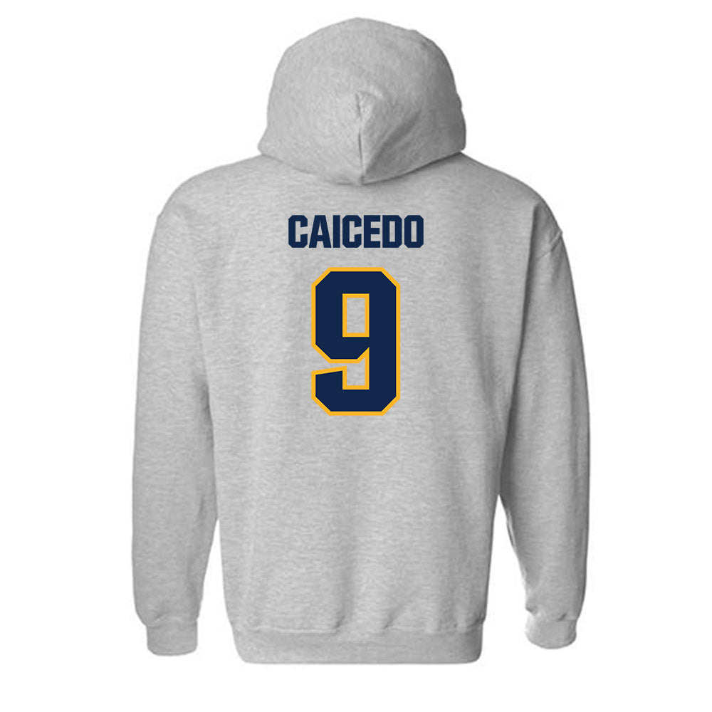 UW Eau Claire - NCAA Baseball : Diego Caicedo - Classic Shersey Hooded Sweatshirt-1