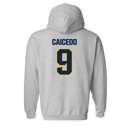 UW Eau Claire - NCAA Baseball : Diego Caicedo - Classic Shersey Hooded Sweatshirt-1