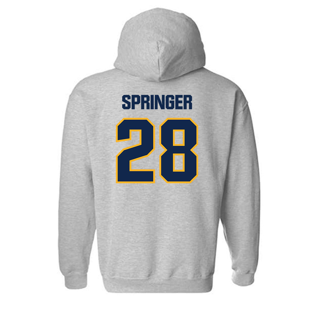 UW Eau Claire - NCAA Softball : Siri Springer - Classic Shersey Hooded Sweatshirt-1