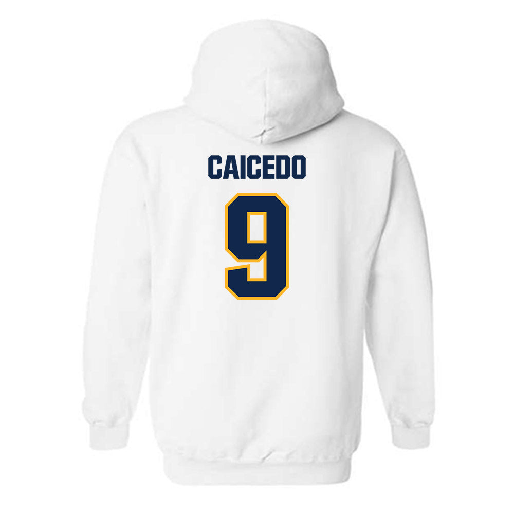 UW Eau Claire - NCAA Baseball : Diego Caicedo - Classic Shersey Hooded Sweatshirt-1