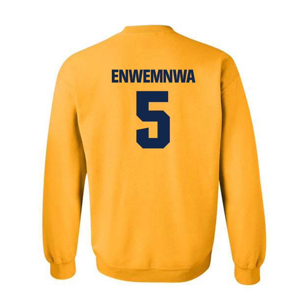 UW Eau Claire - NCAA Men's Soccer : Oge Enwemnwa - Classic Shersey Crewneck Sweatshirt-1