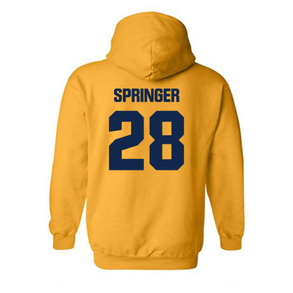 UW Eau Claire - NCAA Softball : Siri Springer - Classic Shersey Hooded Sweatshirt-1