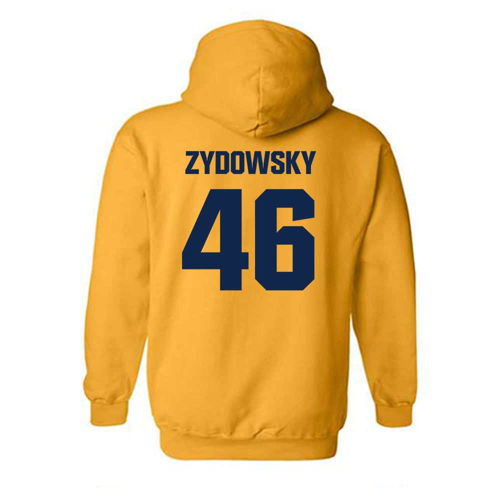 UW Eau Claire - NCAA Baseball : AJ Zydowsky - Classic Shersey Hooded Sweatshirt-1