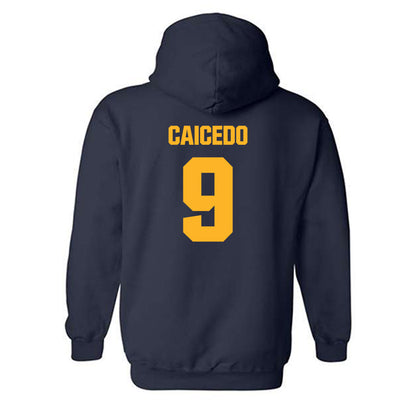 UW Eau Claire - NCAA Baseball : Diego Caicedo - Classic Shersey Hooded Sweatshirt-1
