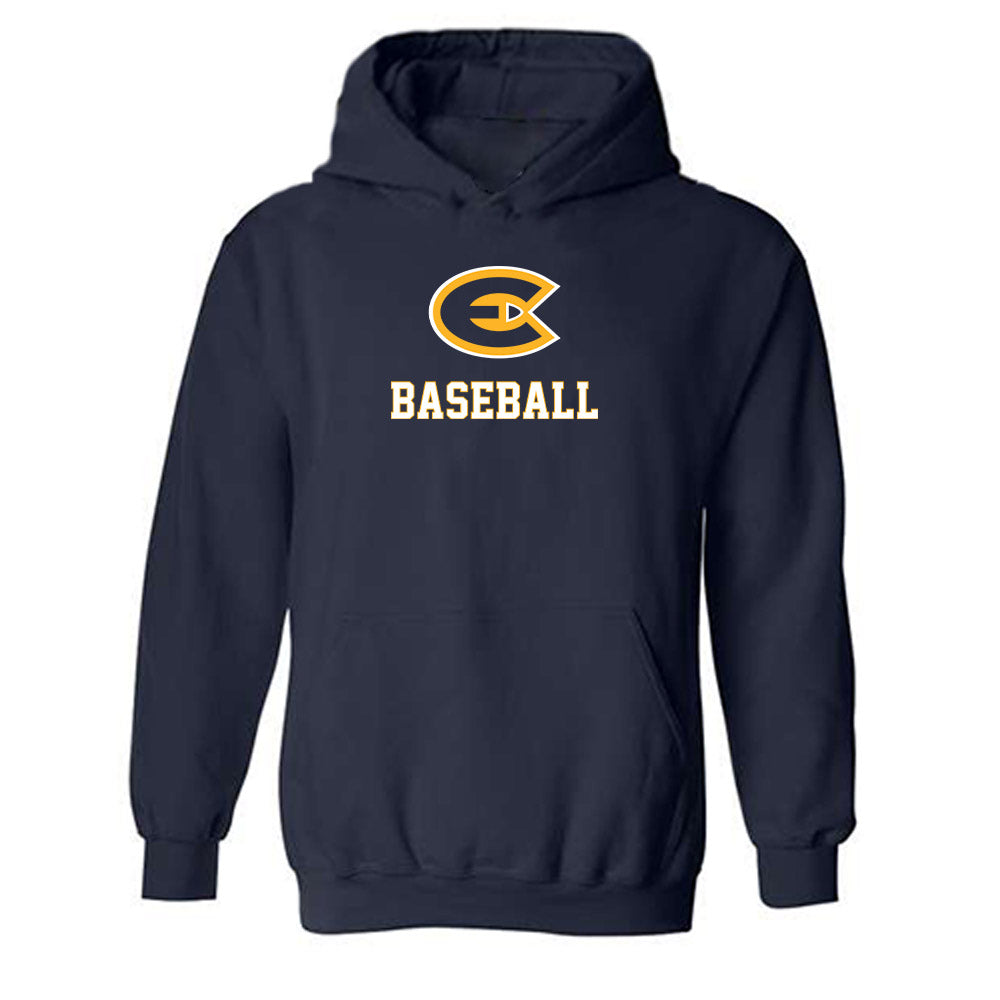 UW Eau Claire - NCAA Baseball : Carter Vieth - Classic Fashion Shersey Hooded Sweatshirt-0