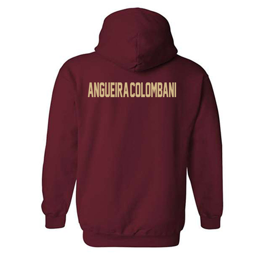 FSU - NCAA Women's Swimming & Diving : Alexandra Angueira-Colombani - Classic Shersey Hooded Sweatshirt-1