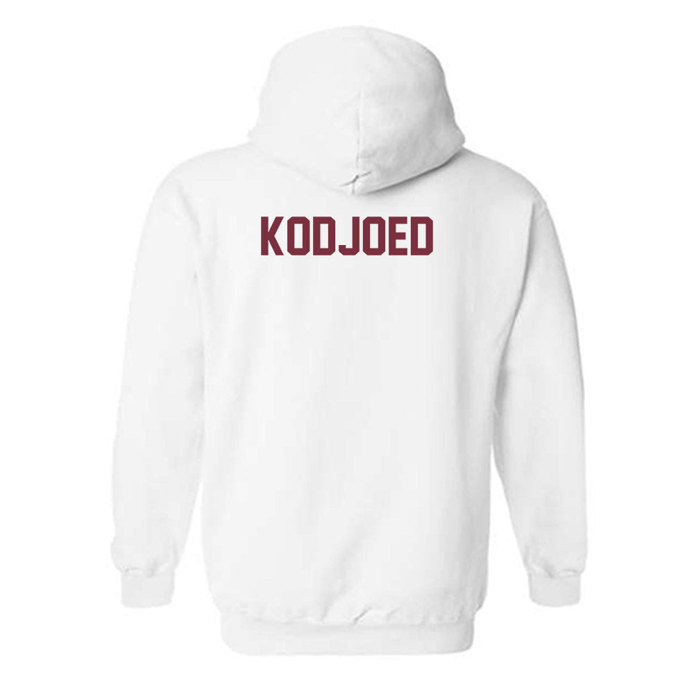 FSU - NCAA Men's Tennis : Yan Kodjoed - Classic Shersey Hooded Sweatshirt-1