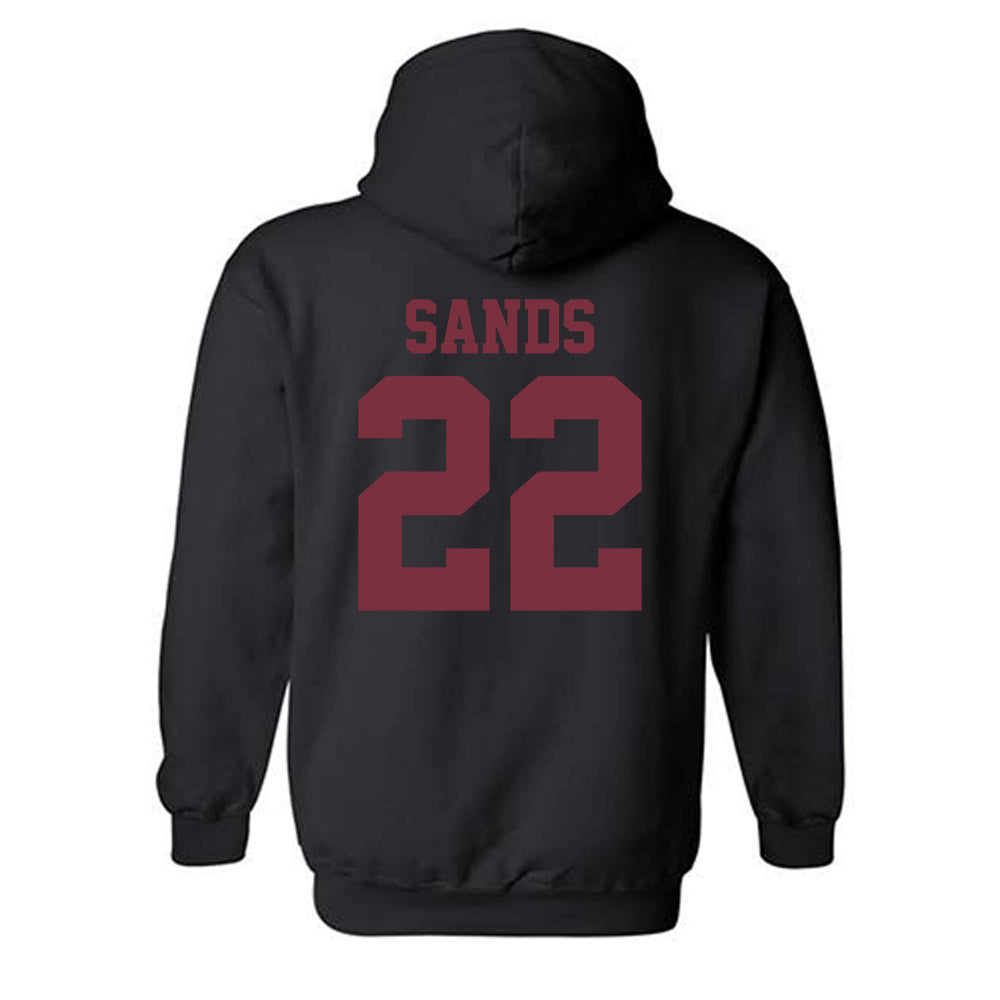 FSU - NCAA Football : Gemari Sands - Sports Shersey Hooded Sweatshirt-1