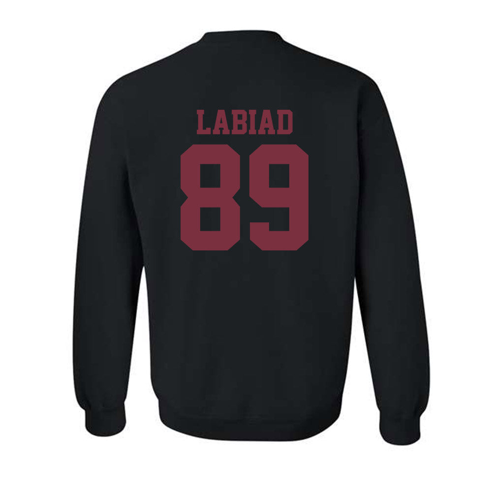 FSU - NCAA Football : Greyson Labiad - Sports Shersey Crewneck Sweatshirt-1