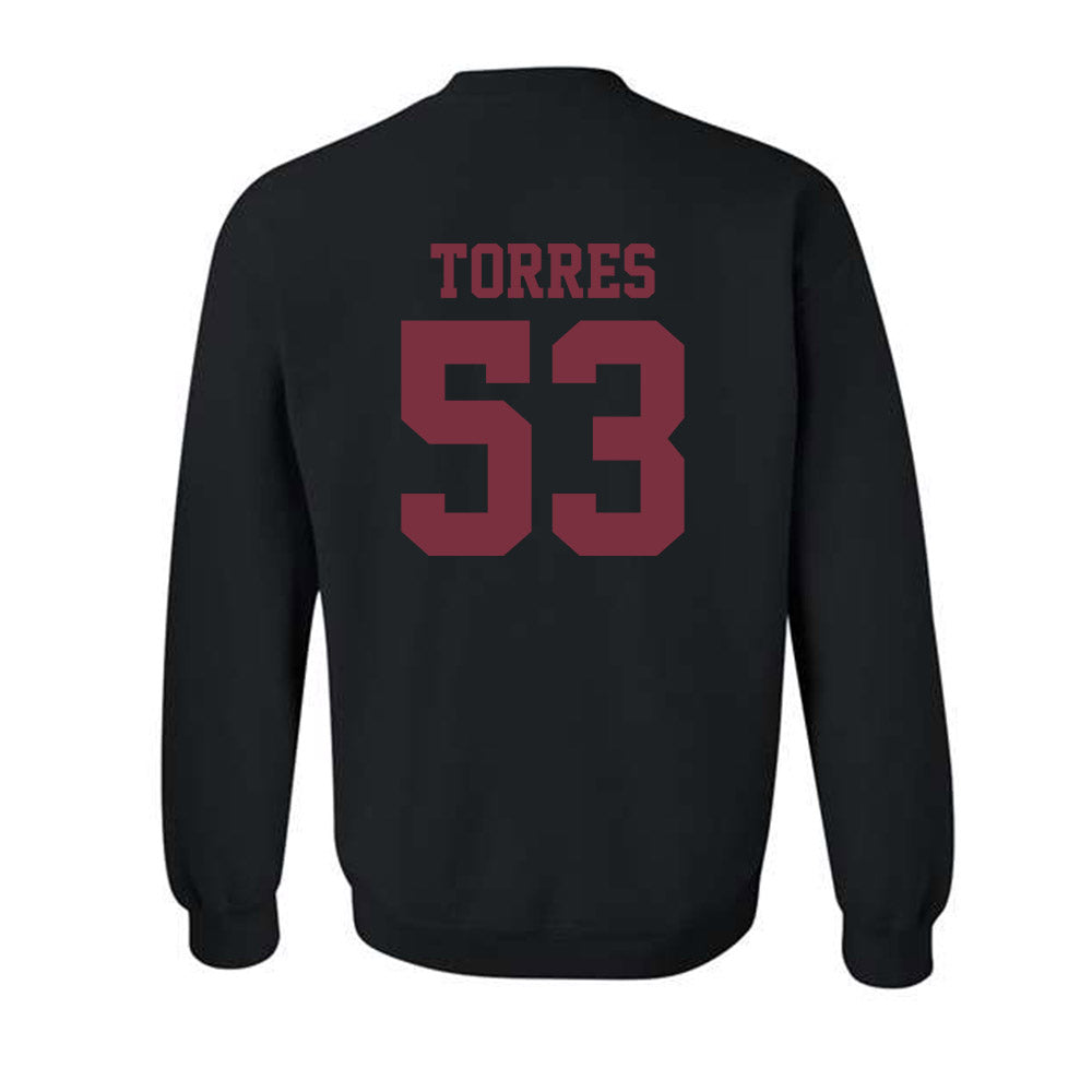 FSU - NCAA Football : Brandon Torres - Sports Shersey Crewneck Sweatshirt-1
