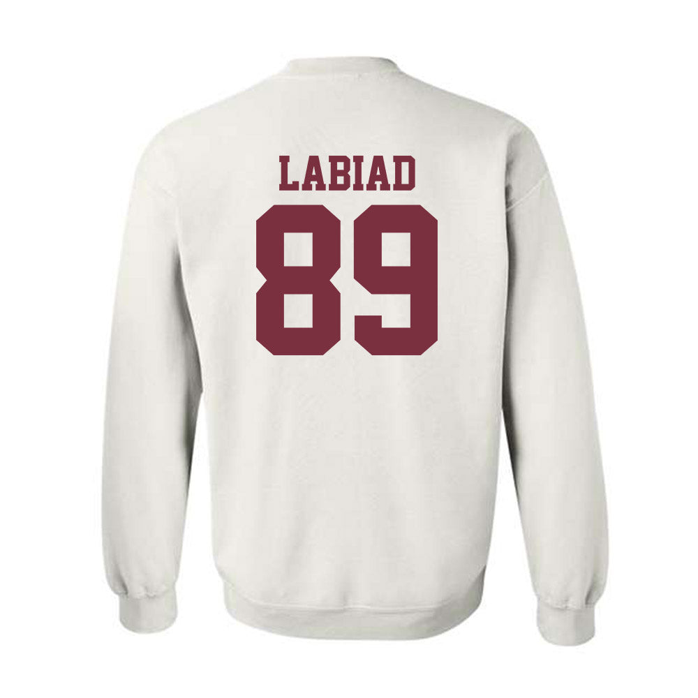 FSU - NCAA Football : Greyson Labiad - Sports Shersey Crewneck Sweatshirt-1