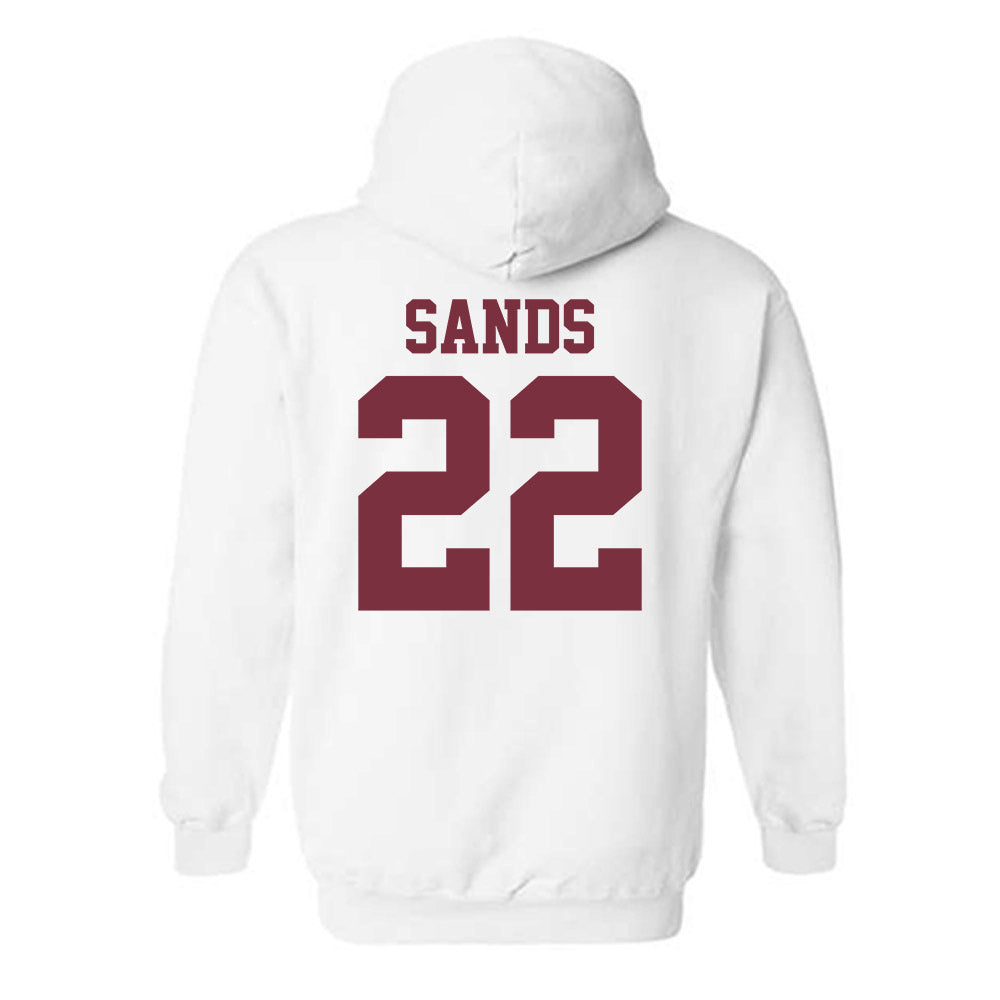 FSU - NCAA Football : Gemari Sands - Sports Shersey Hooded Sweatshirt-1