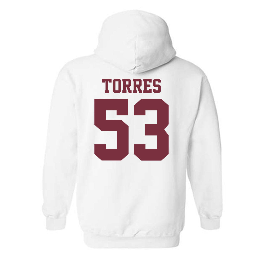 FSU - NCAA Football : Brandon Torres - Sports Shersey Hooded Sweatshirt-1