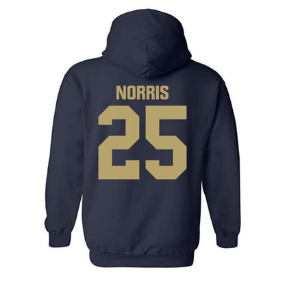 UC Davis - NCAA Women's Basketball : Megan Norris - Classic Shersey Hooded Sweatshirt-1