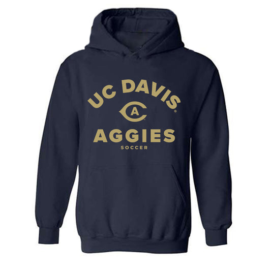 UC Davis - NCAA Men's Soccer : Michael Bulloch - Classic Shersey Hooded Sweatshirt-0