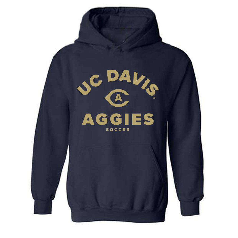 UC Davis - NCAA Women's Soccer : Sydnie Fong - Classic Shersey Hooded Sweatshirt-0