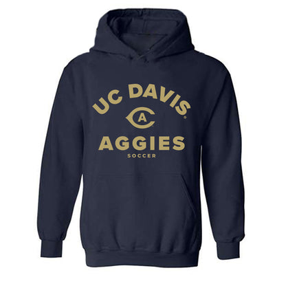 UC Davis - NCAA Women's Soccer : Sydnie Fong - Classic Shersey Hooded Sweatshirt-0
