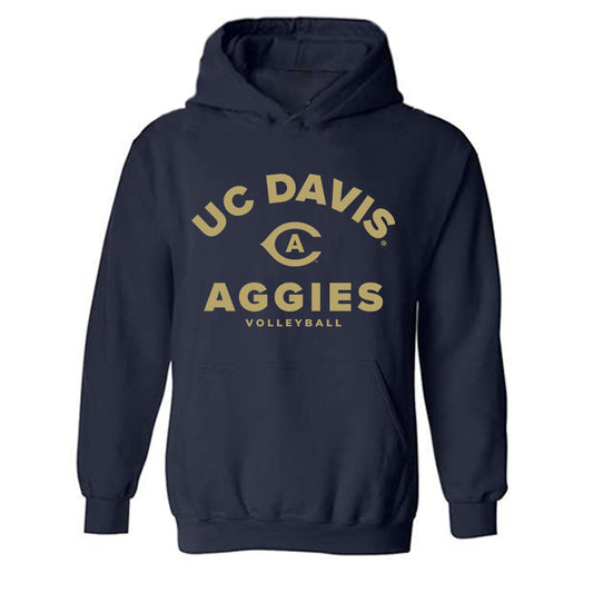 UC Davis - NCAA Women's Volleyball : Jada Johnson - Classic Shersey Hooded Sweatshirt-0