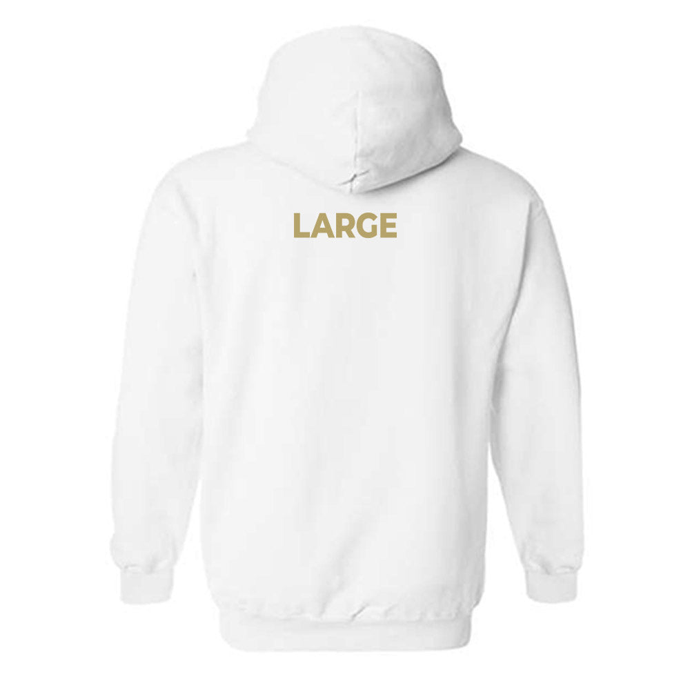 UC Davis - NCAA Women's Track & Field : Haley Large - Classic Shersey Hooded Sweatshirt-1